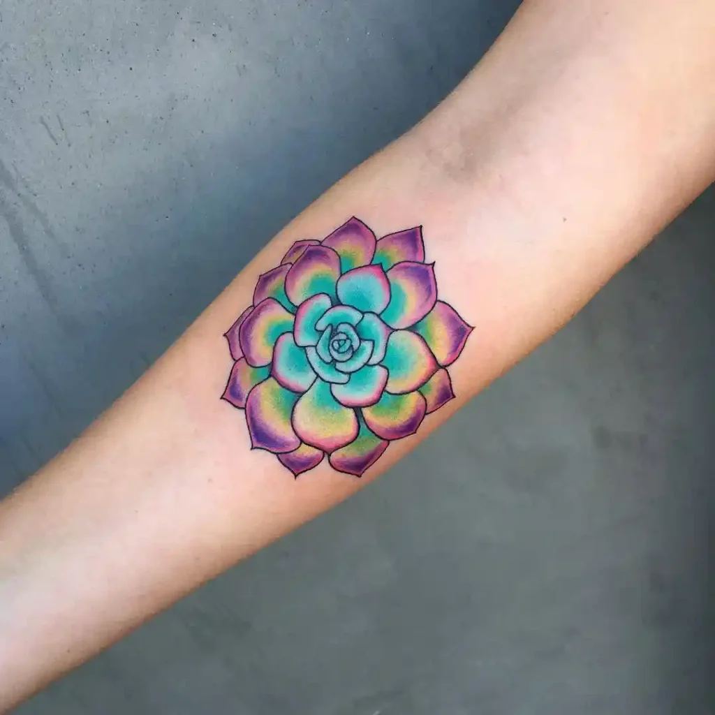 Colorful Succulent Rosette on Inner Forearm
