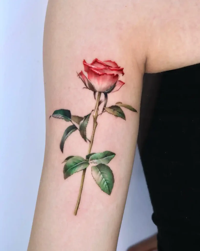 Realistic Long Stemmed Rose on Upper Arm