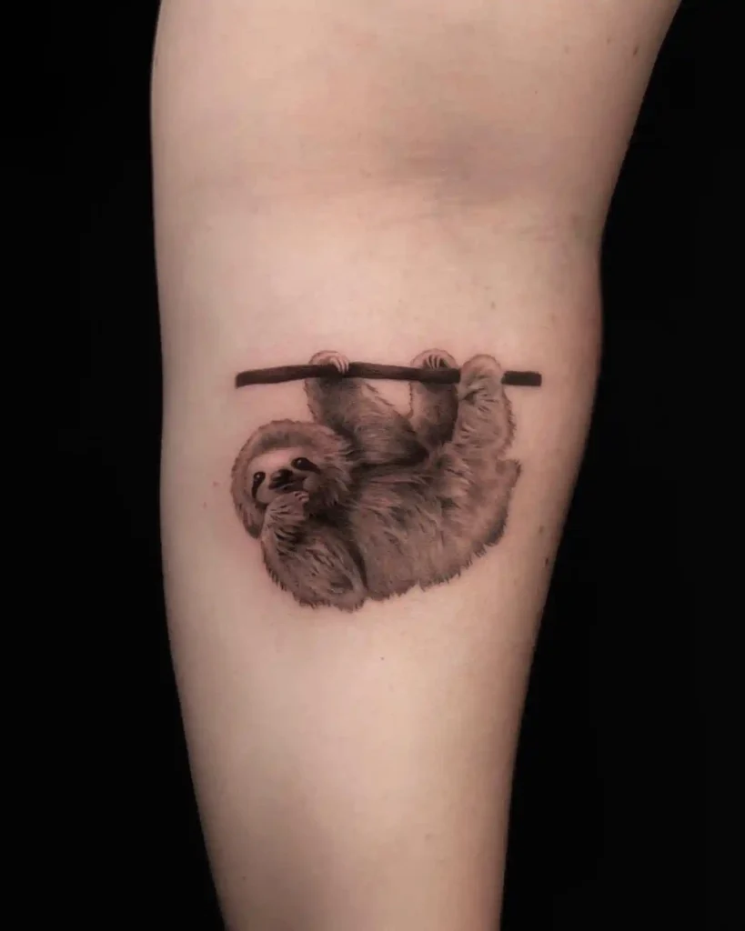 Realistic Sloth on Inner Arm