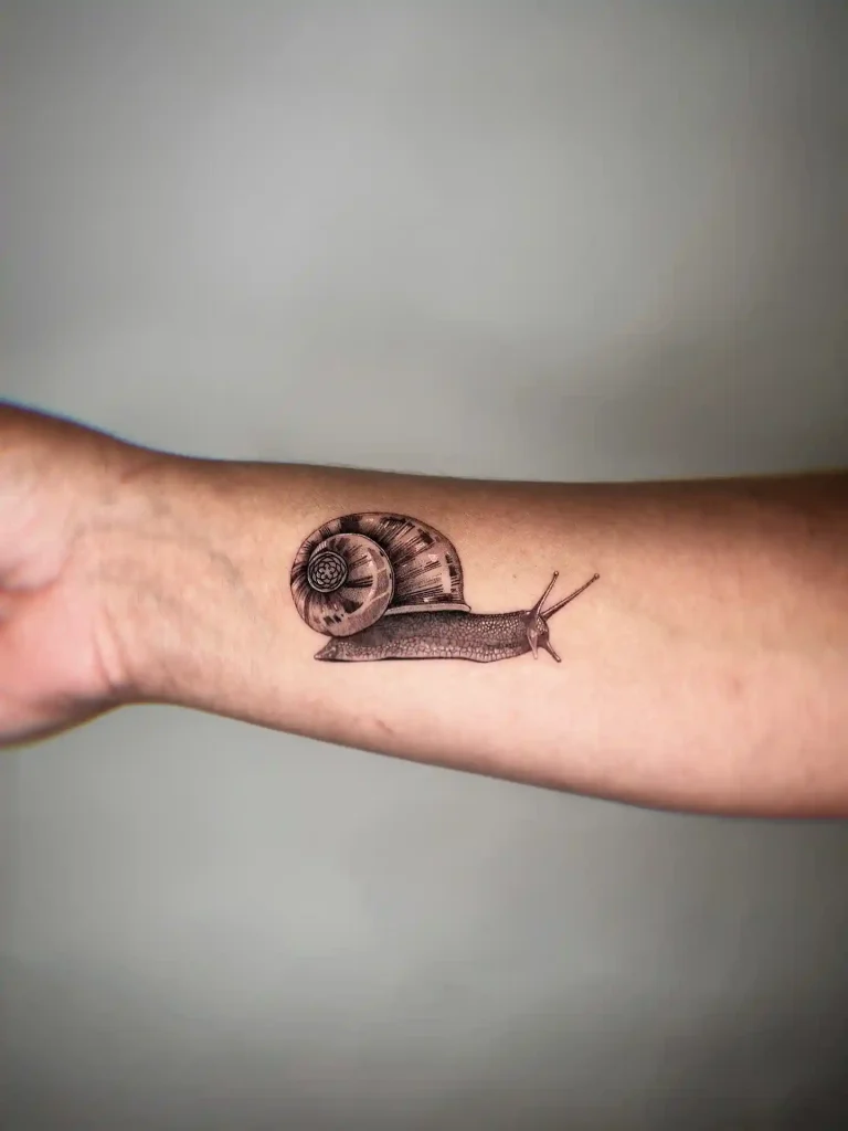 Realistic Snail Tattoo on Inner Forearm