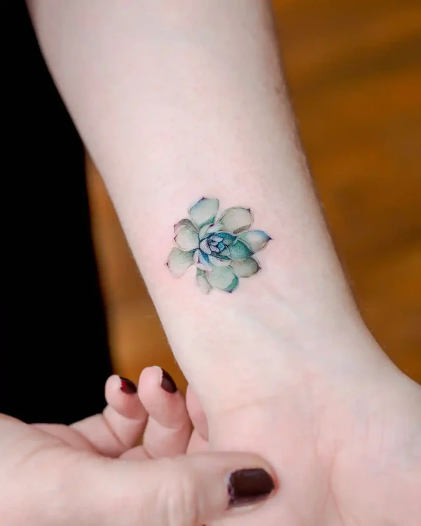 Small Blue Echeveria Succulent on Inner Wrist