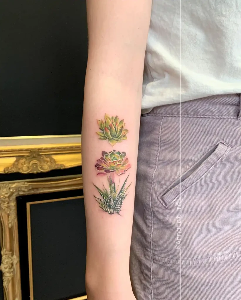 Three Vibrant Succulent Varieties on Inner Forearm