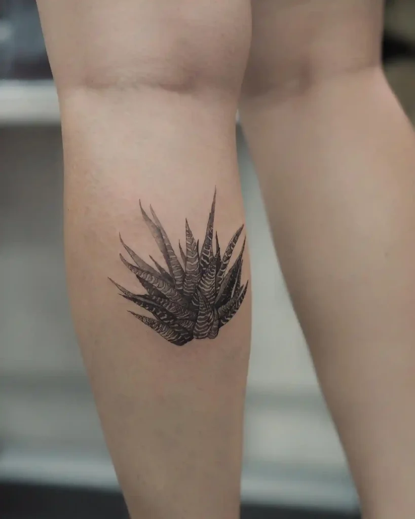 Zebra Succulent Tattoo on Lower Calf