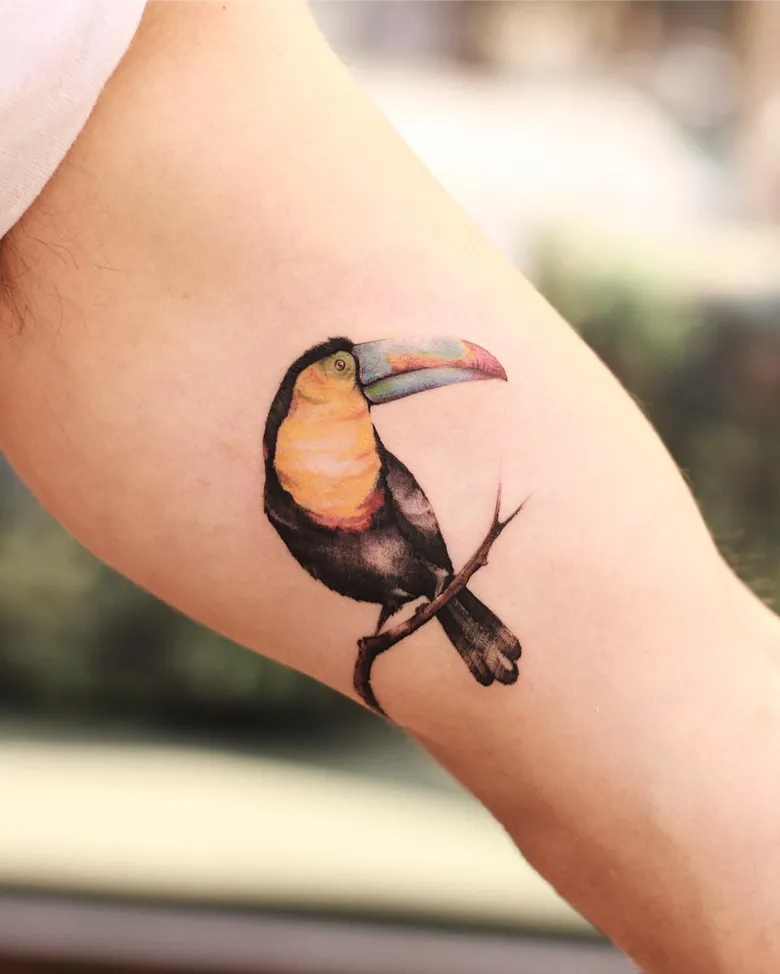 Adorable Mini Realistic Toucan Tattoo