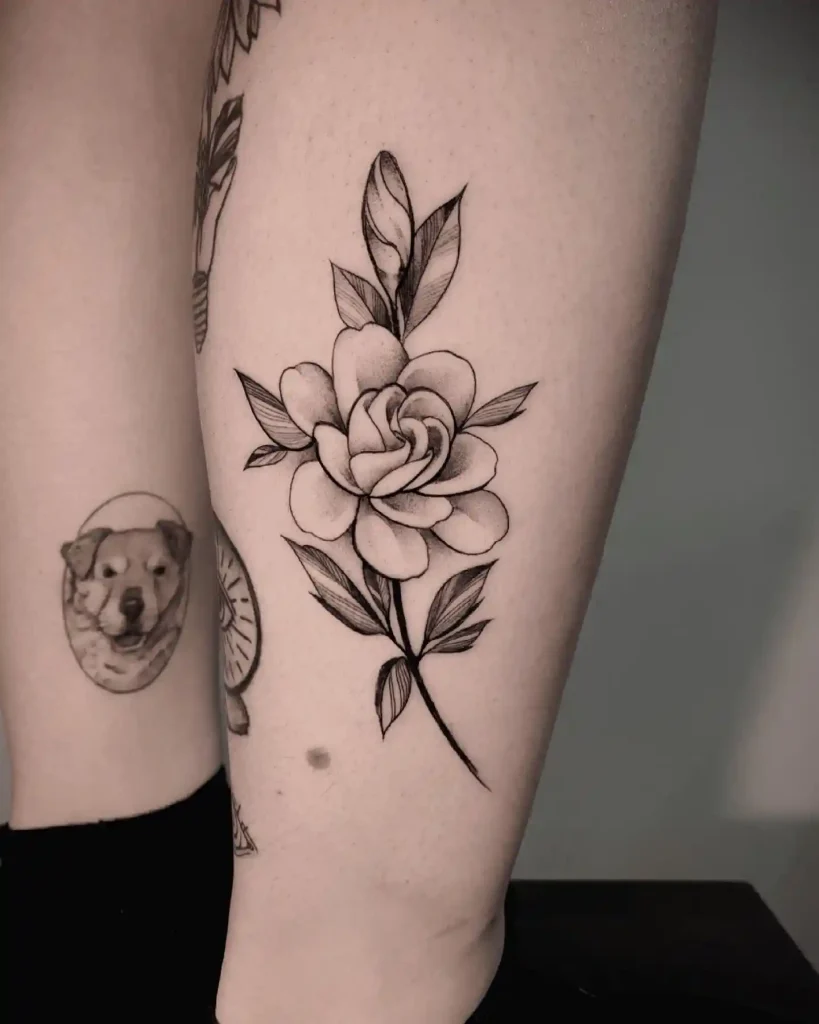 Black and Grey Gardenia on Calf