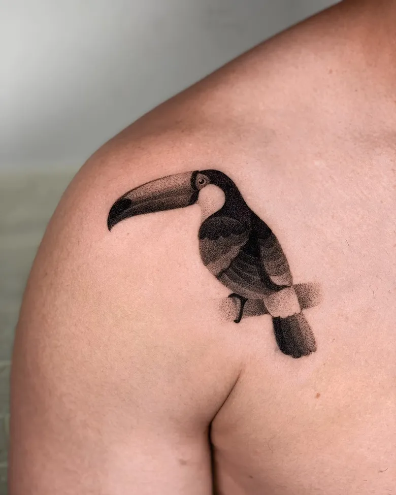 Black and Grey Shoulder Toucan Tattoo