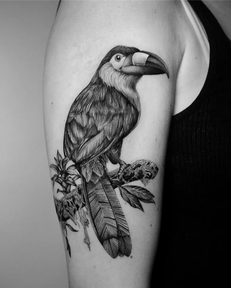Blackwork Realistic Toucan Tattoo