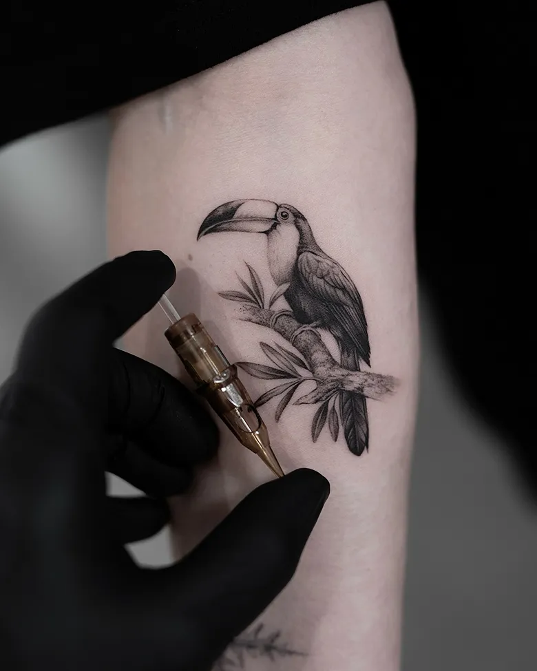 Delicate Perched Toucan Tattoo