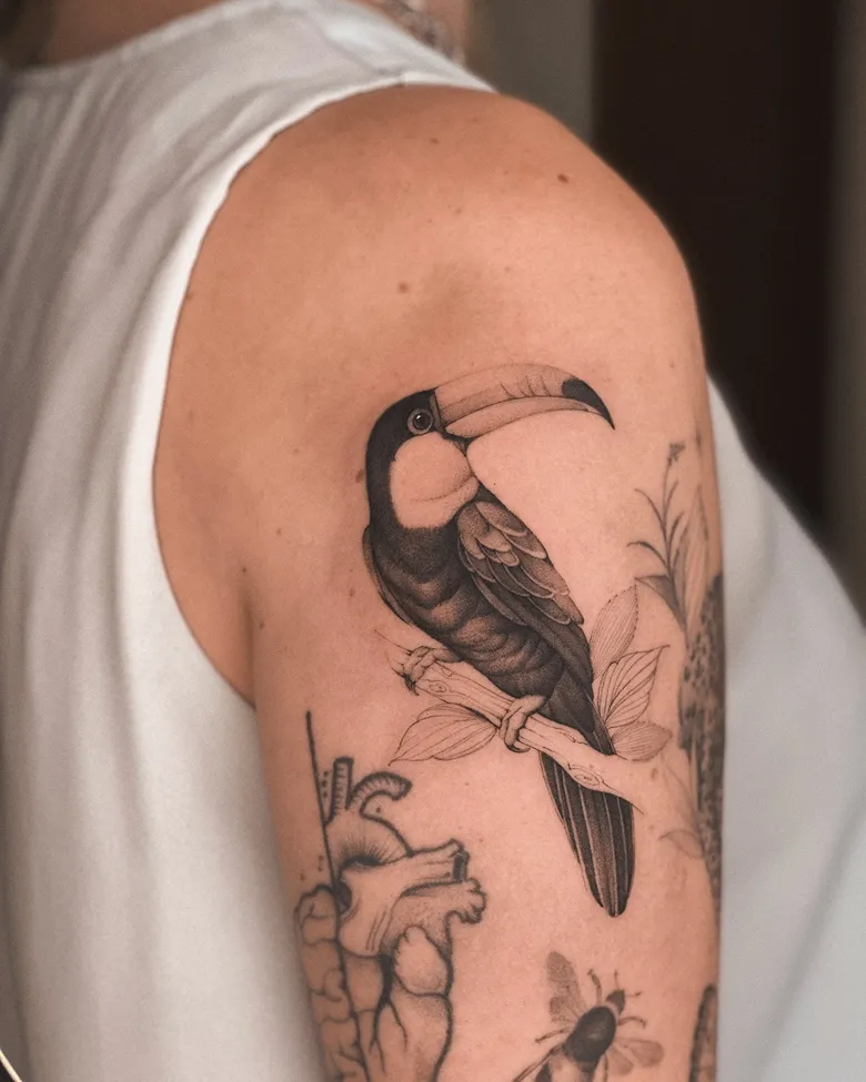 Detailed Black and Grey Toucan Tattoo