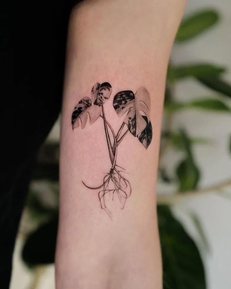 Elegant Fine Line Variegated Monstera Tattoo