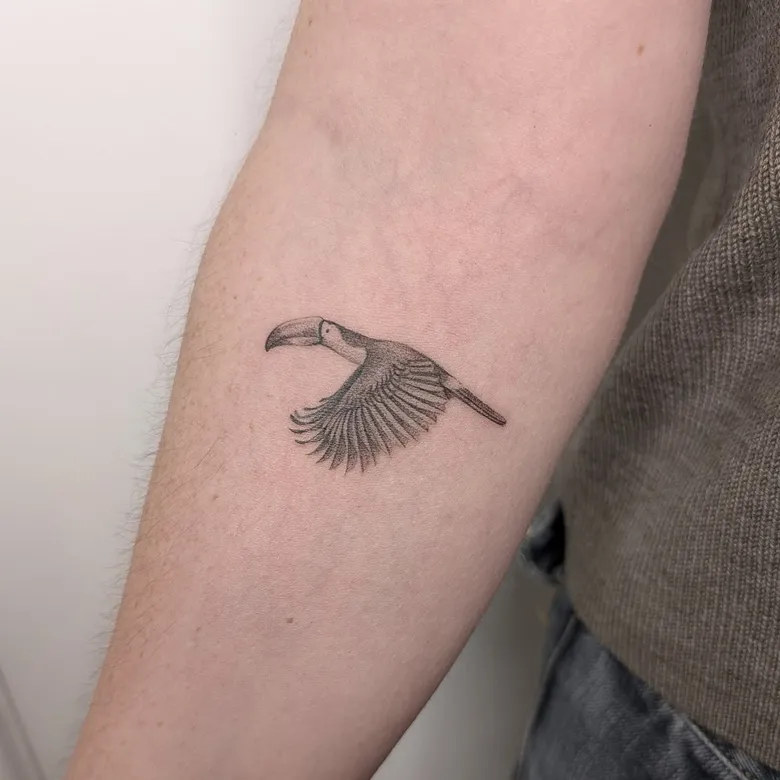 Fine Line Flying Toucan Tattoo