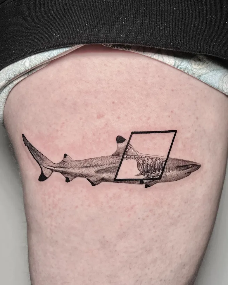 Fine Line Shark Skeleton Window Tattoo