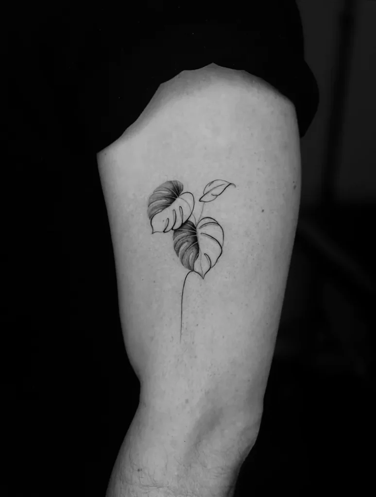 Minimal Fine Line Monstera Tattoo