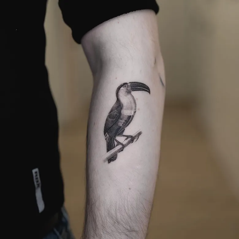 Realistic Black and Grey Toucan Tattoo