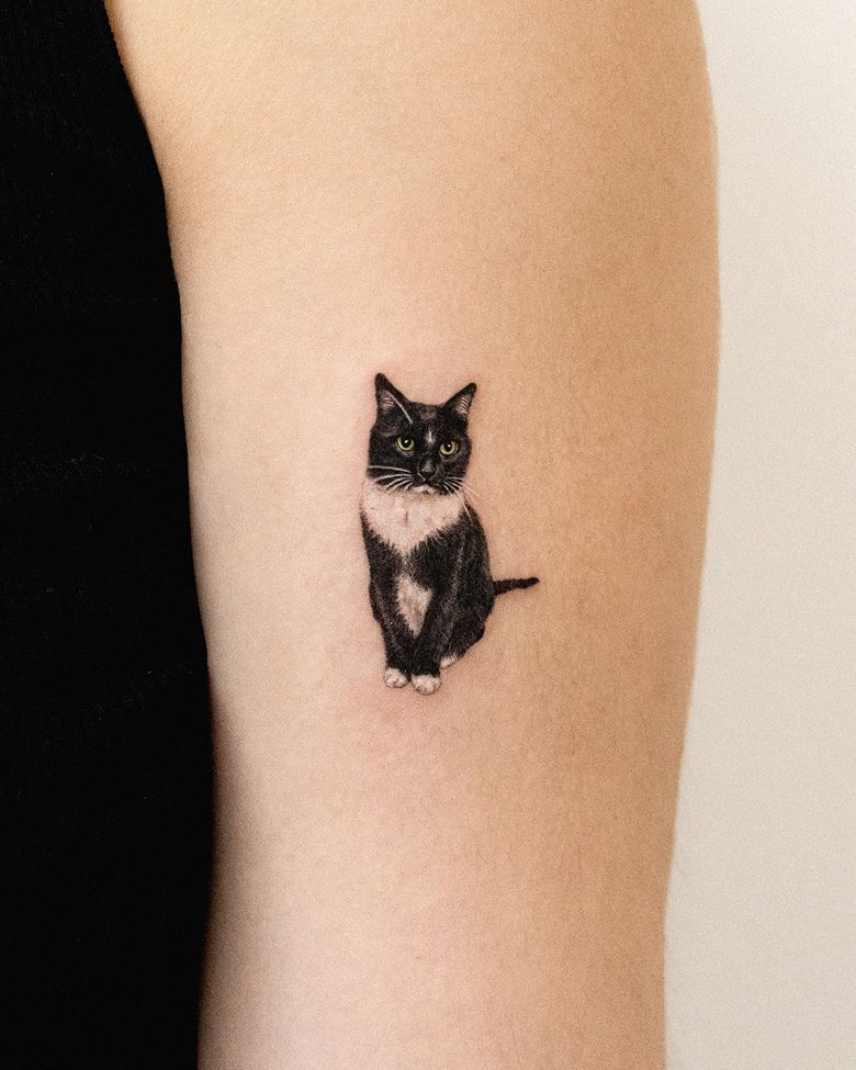 Realistic Black and White Cat Portrait Tattoo