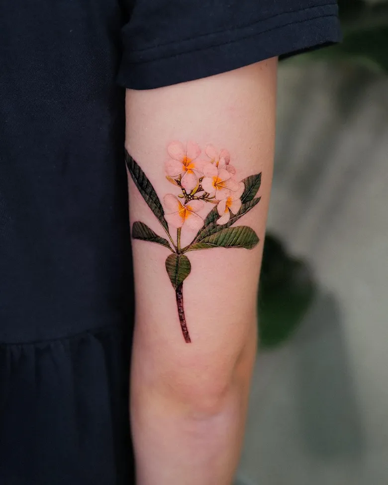 Realistic Branch Plumeria Tattoo