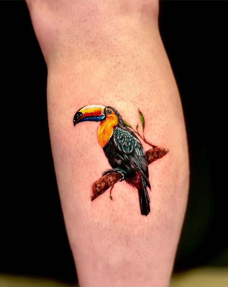 Realistic Color Toucan Tattoo