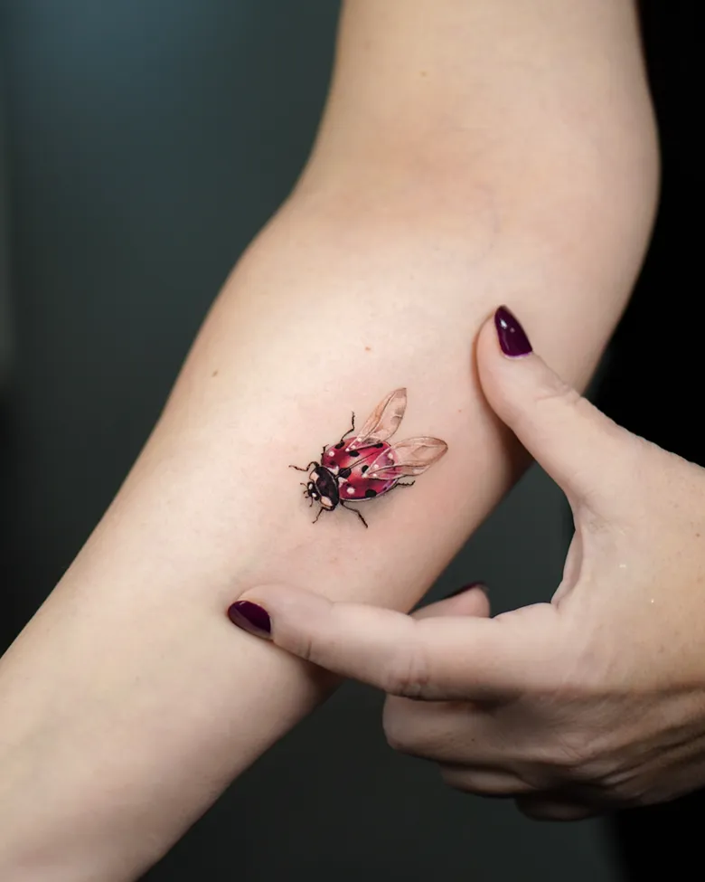 Realistic Ladybug & Housefly Tattoo
