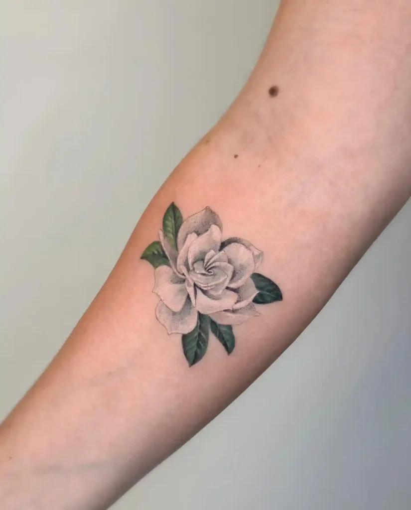 Realistic White Gardenia on Inner Forearm