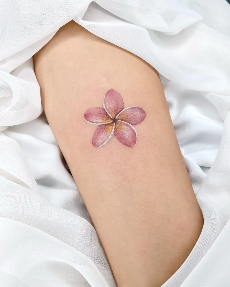 Single Bloom Soft Pink Plumeria Tattoo