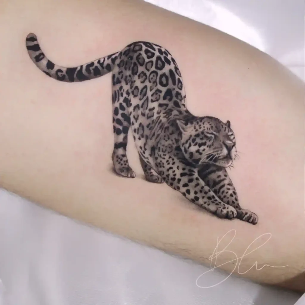 Stretching Jaguar on Forearm