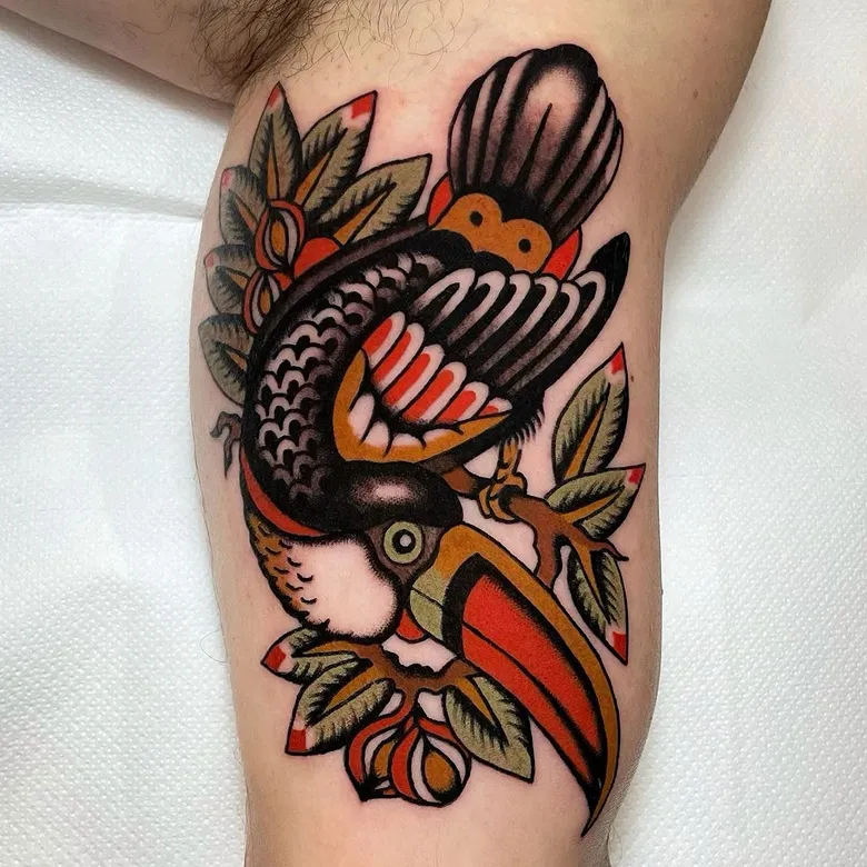 Traditional Toucan Arm Tattoo