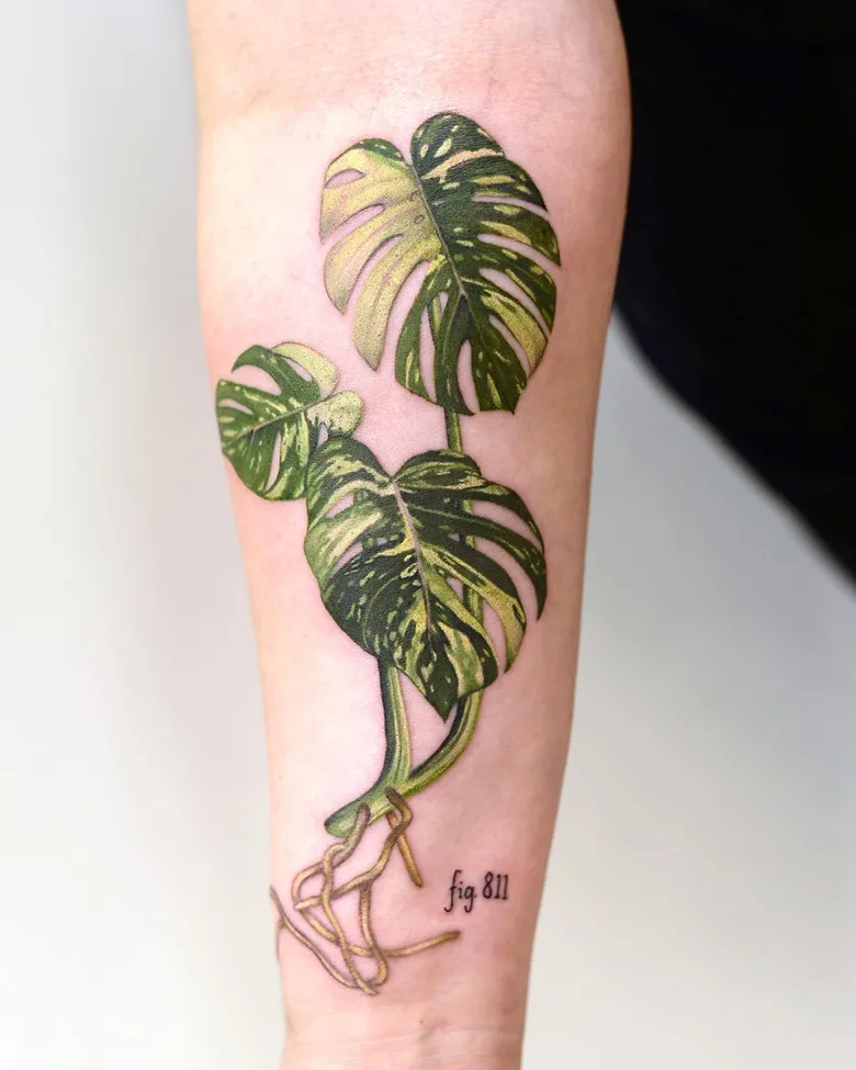 Vintage Botanical Monstera Stem Tattoo