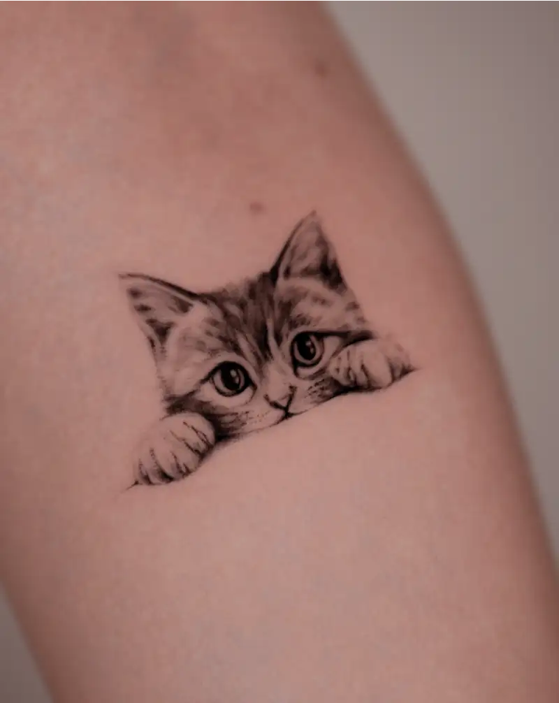 Adorable Peeking Kitten Portrait Tattoo