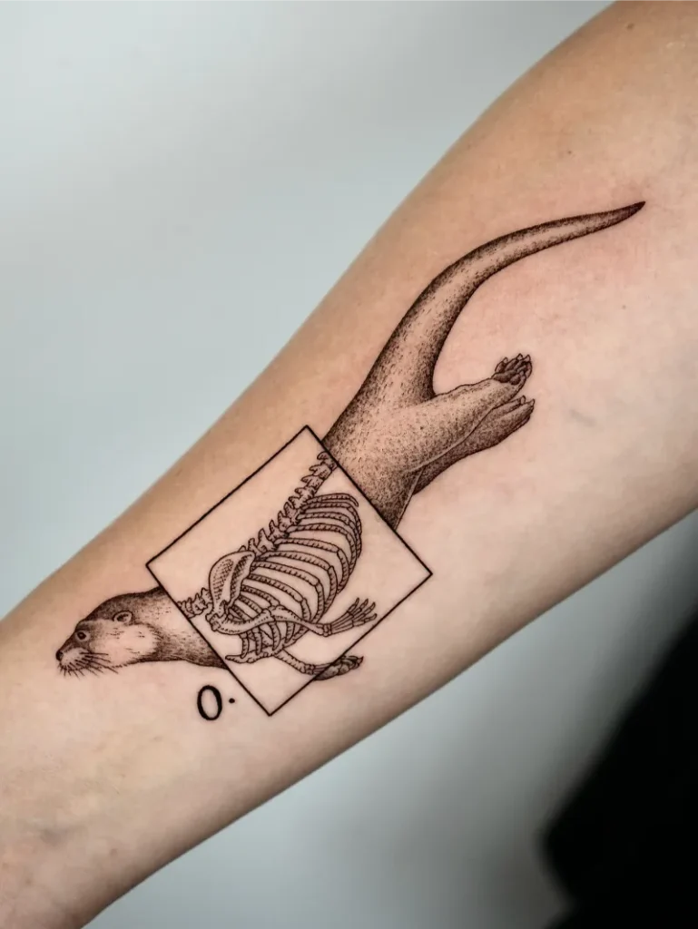 Anatomical Illustration Otter Tattoo