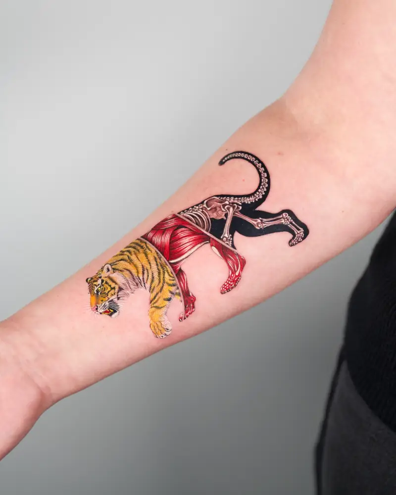 Anatomical Split Tiger Tattoo
