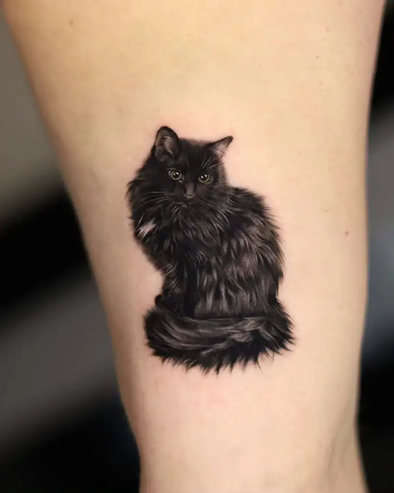 Black Long Hair Cat Portrait Tattoo