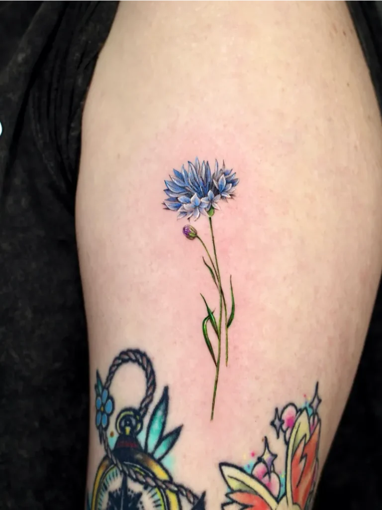 Botanical Fine Line Cornflower Tattoo