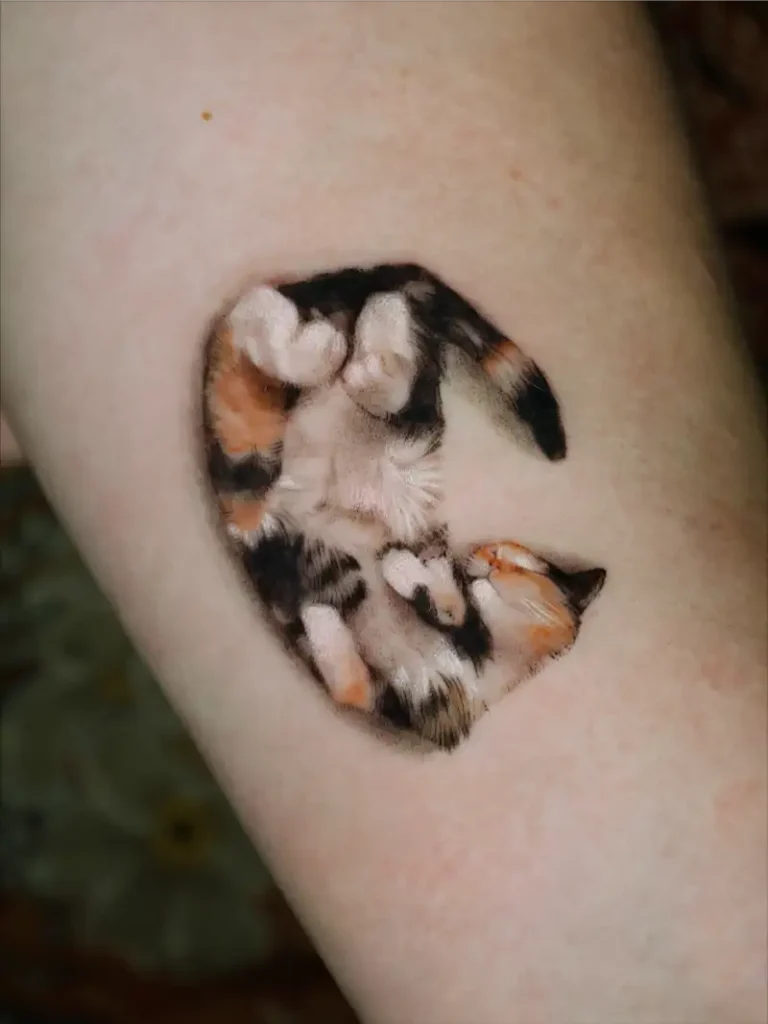 Curled Sleeping Cat Portrait Tattoo