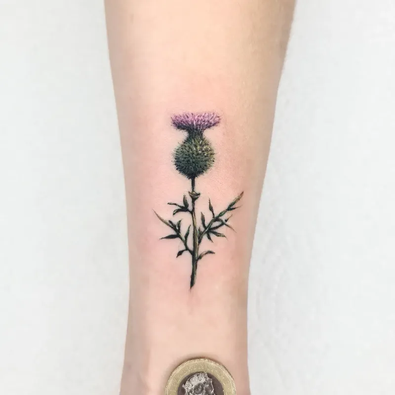 Delicate Realism Thistle Tattoo