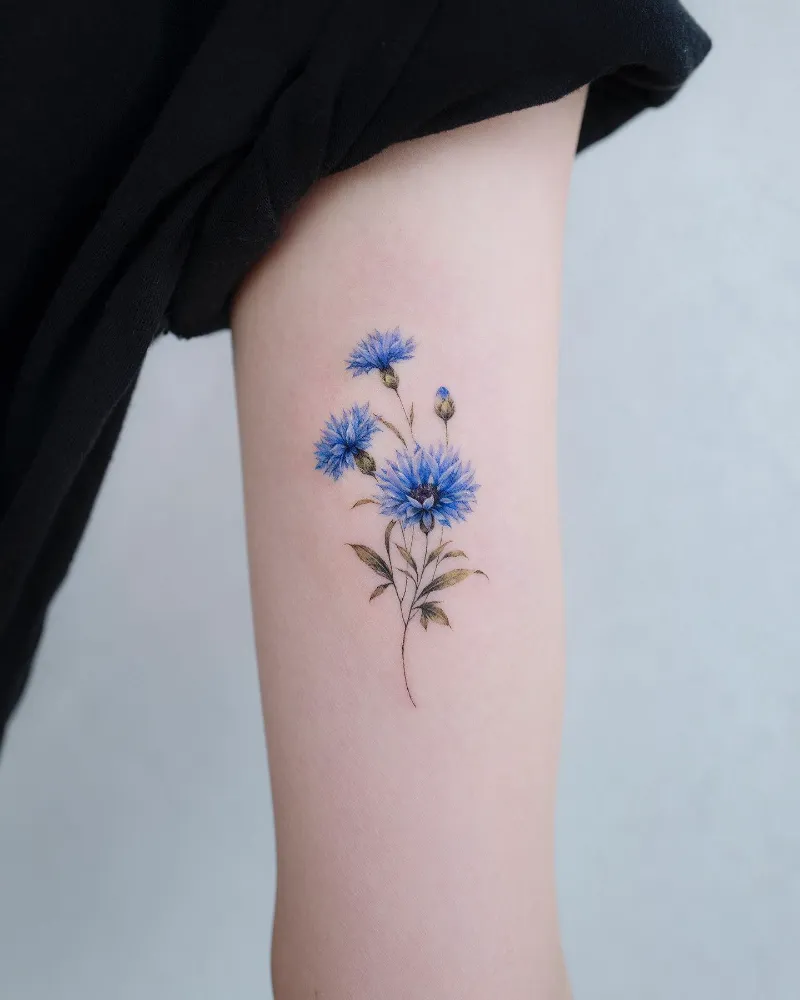 Delicate Realistic Cornflower Cluster Tattoo