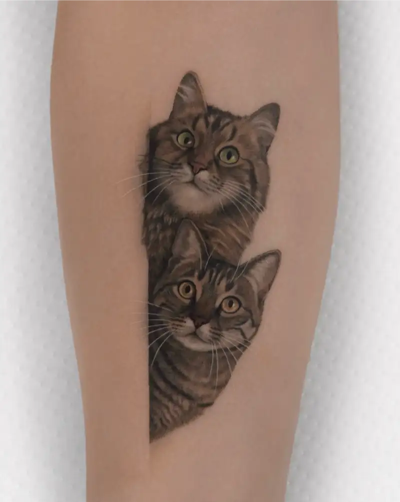 Dual Cat Portrait Tattoo