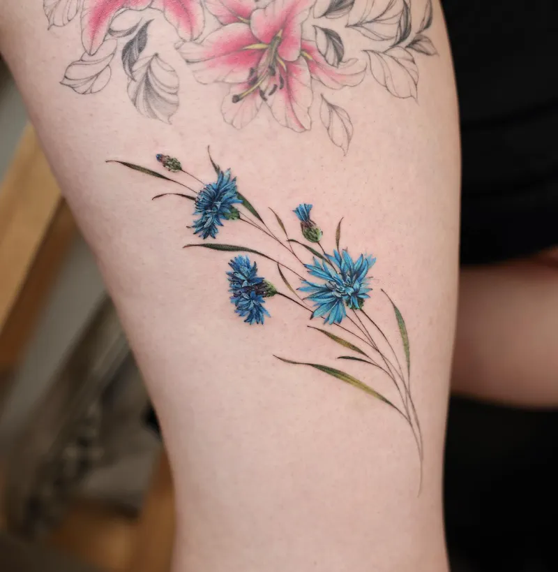 Graceful Wild Cornflower Branch Tattoo