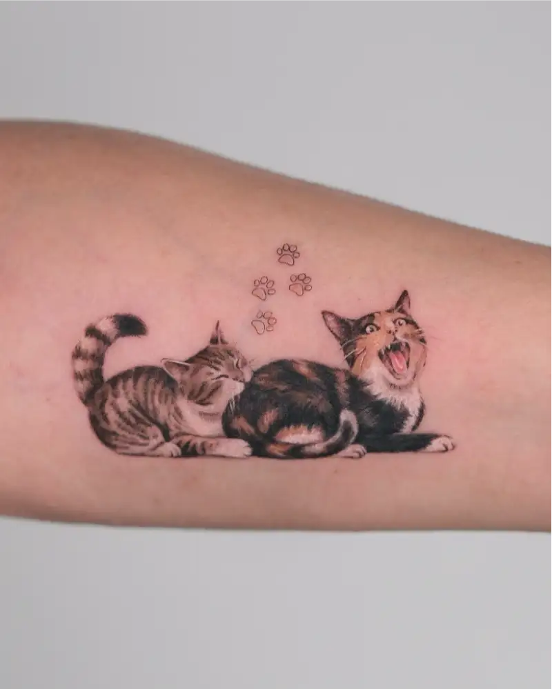 Micro Realism Cat Duo Portrait Tattoo