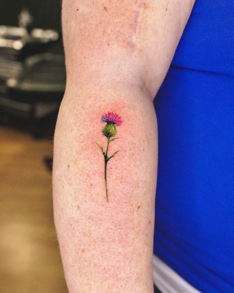 Minimal Realism Scottish Thistle Tattoo