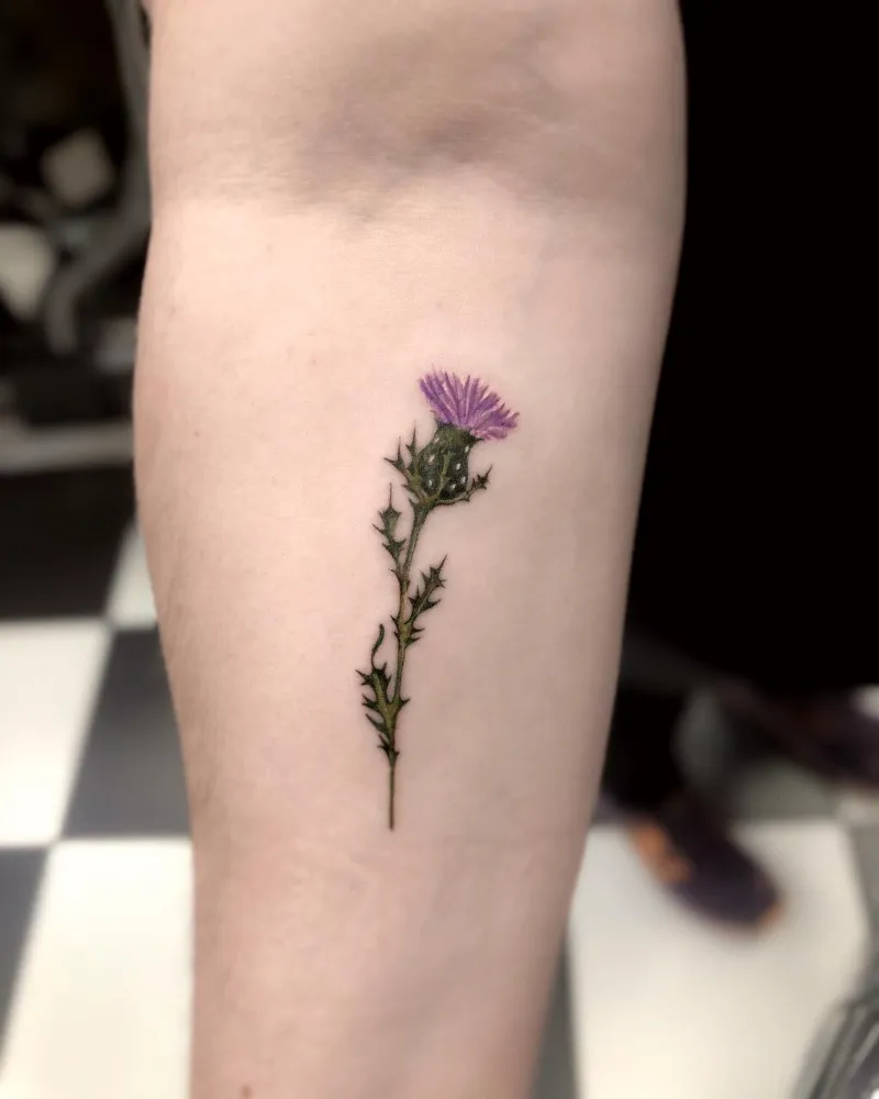 Minimal Realism Thistle Tattoo