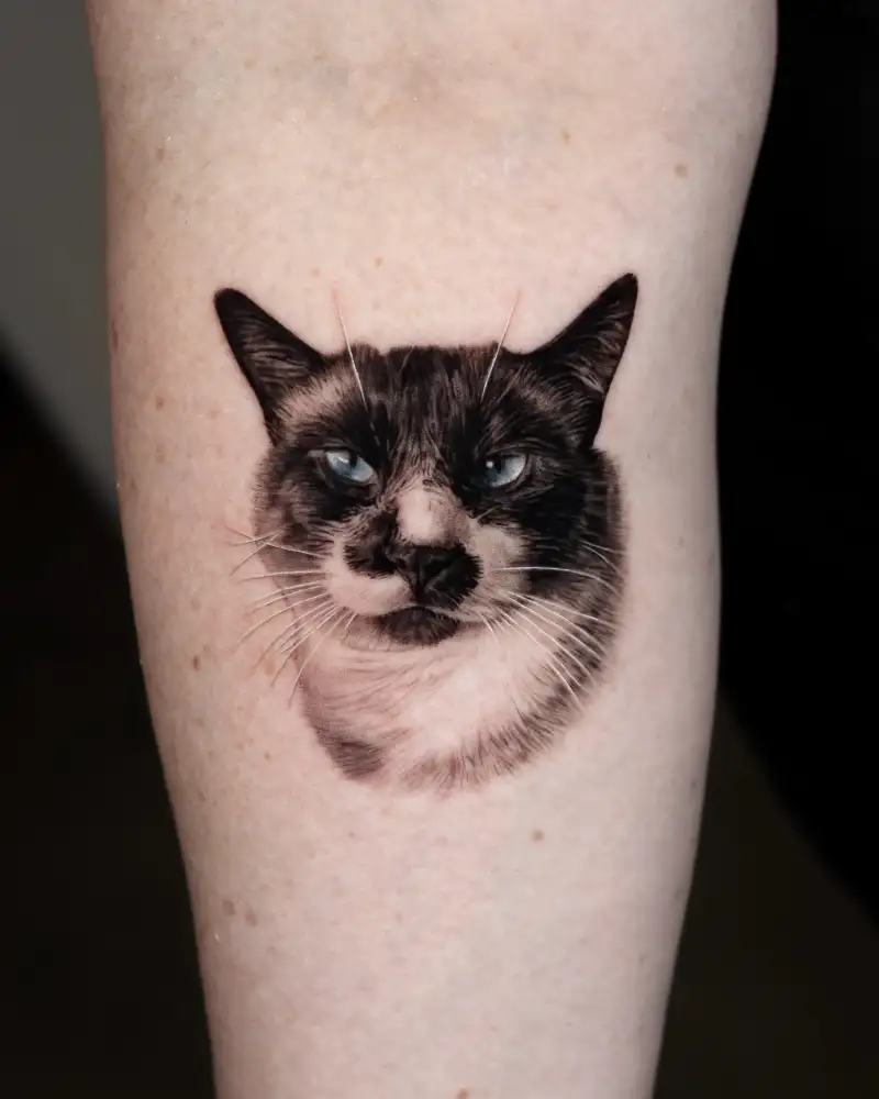 Moody Siamese Cat Portrait Tattoo