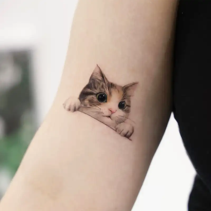 Peeking Kitten Portrait Tattoo