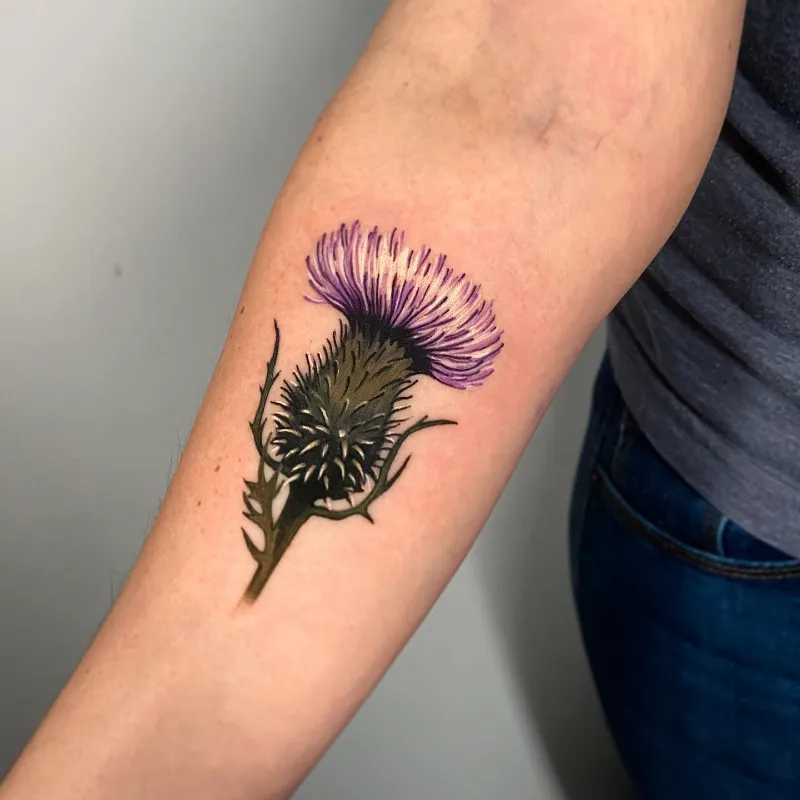Realistic Scottish Thistle Tattoo