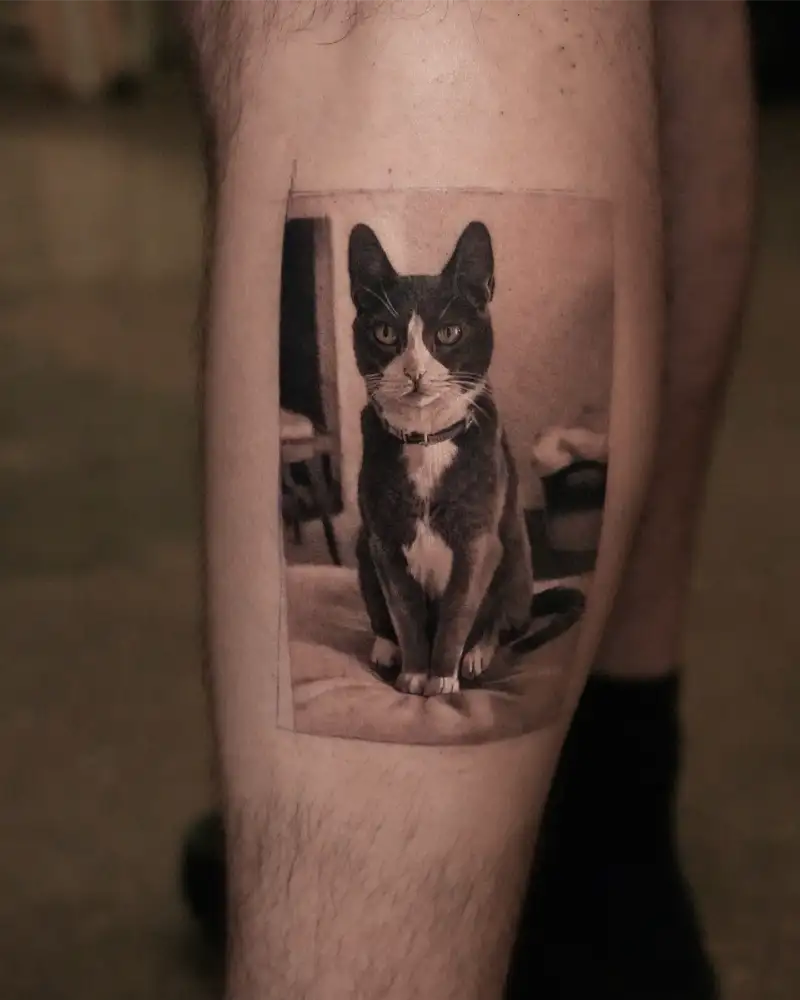 Realistic Tuxedo Cat Portrait Tattoo