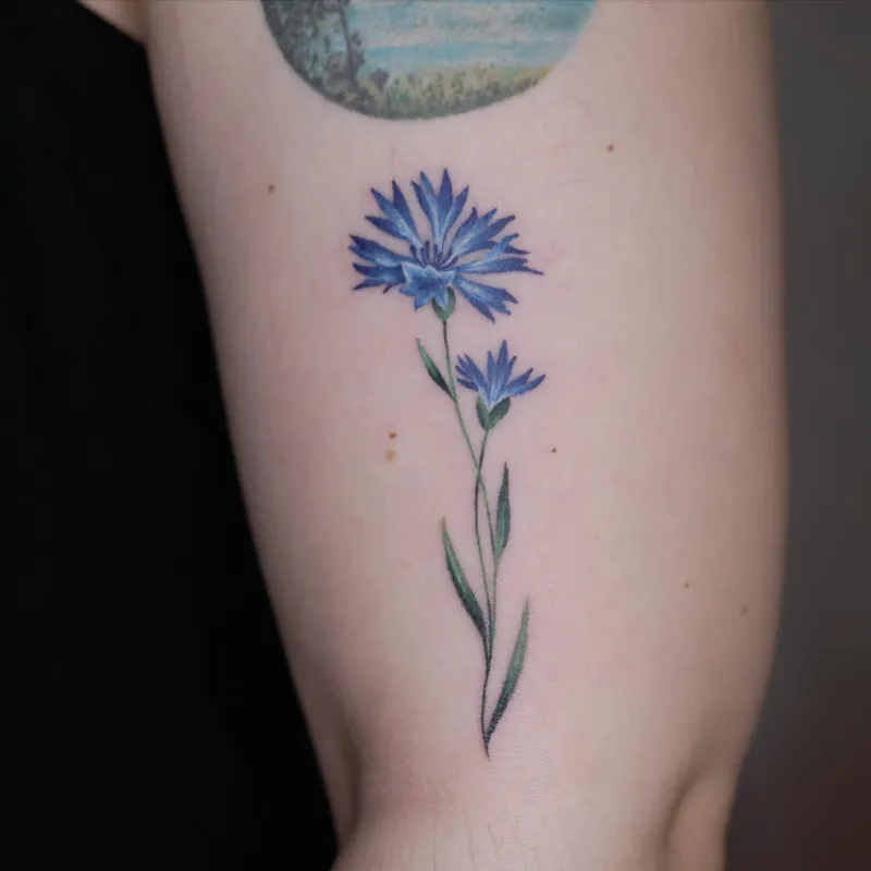 Realistic Twin Cornflower Stem Tattoo