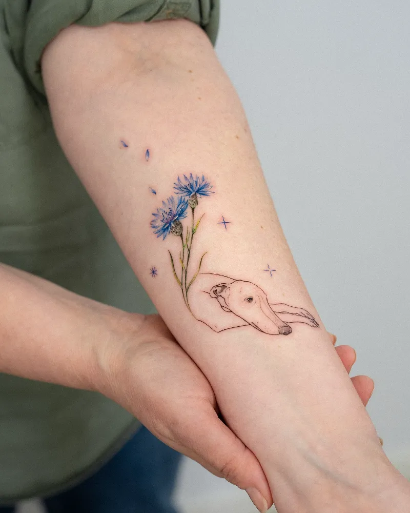Sentimental Cornflower and Greyhound Tattoo