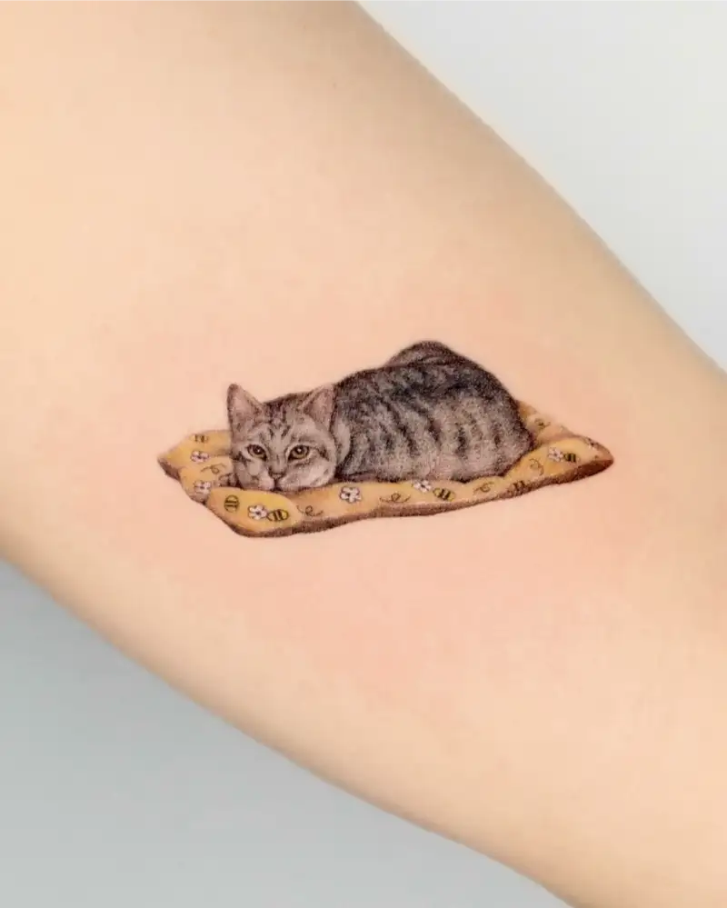 Sleeping Cat On Cushion Tattoo
