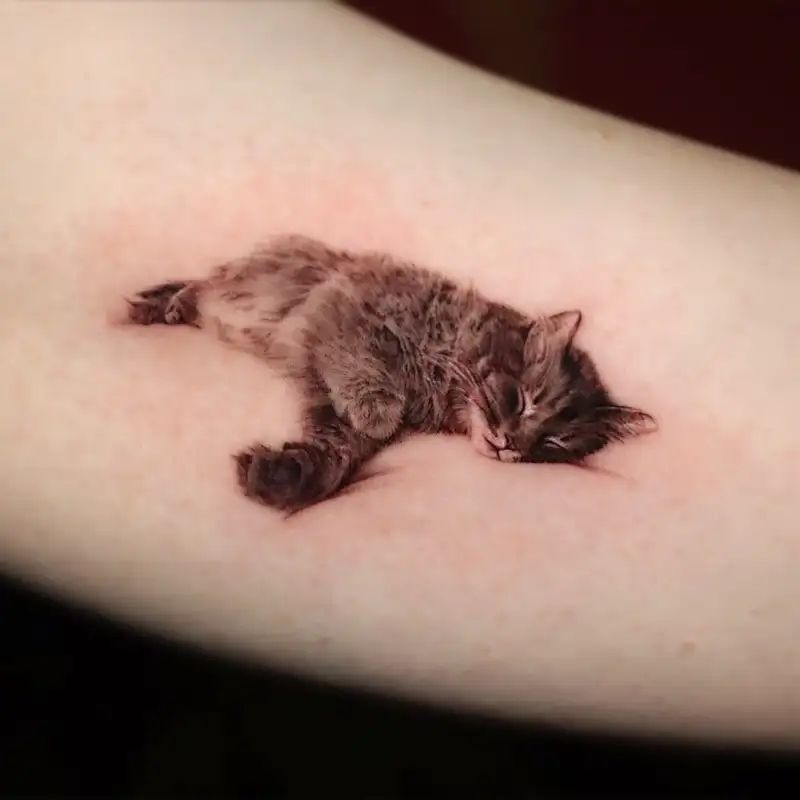 Sleeping Kitten Realism Tattoo