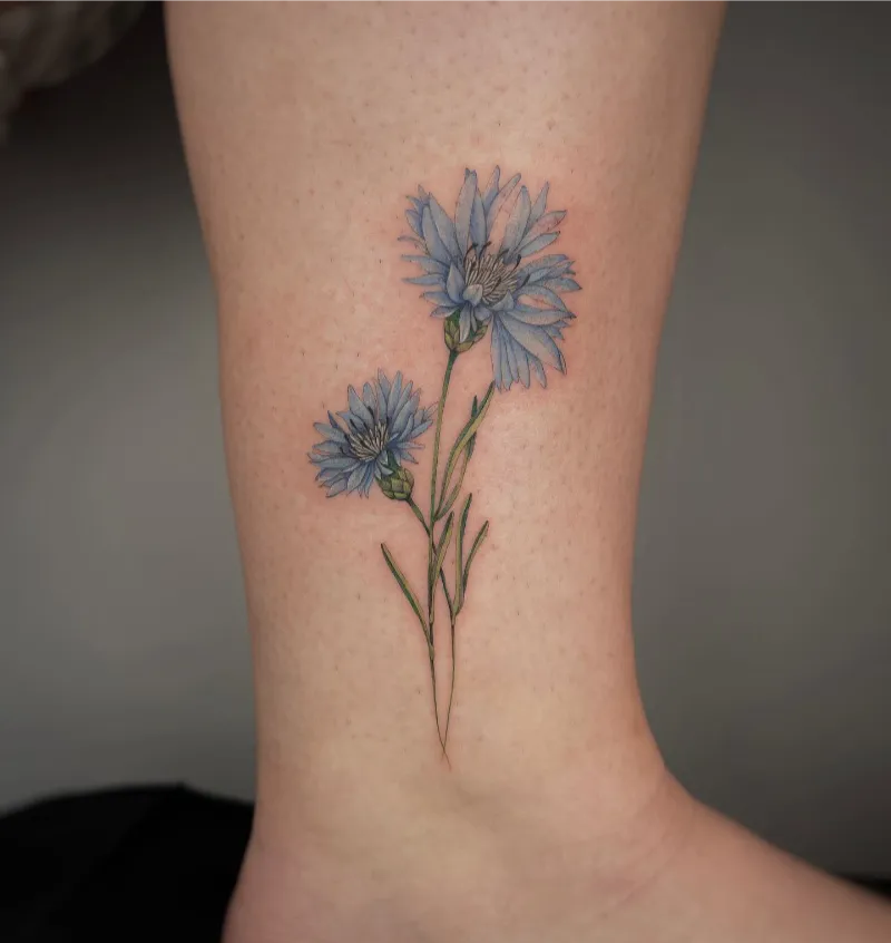 Soft Botanical Blue Cornflower Tattoo