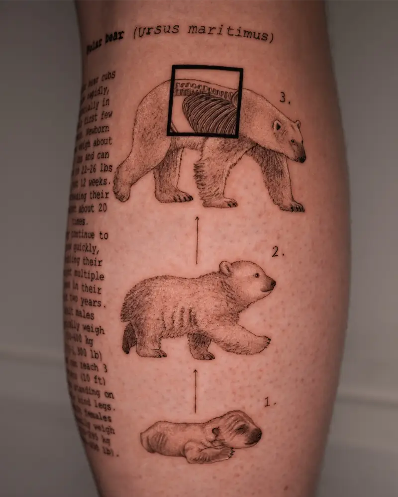 Educational Natural History Polar Bear Tattoo